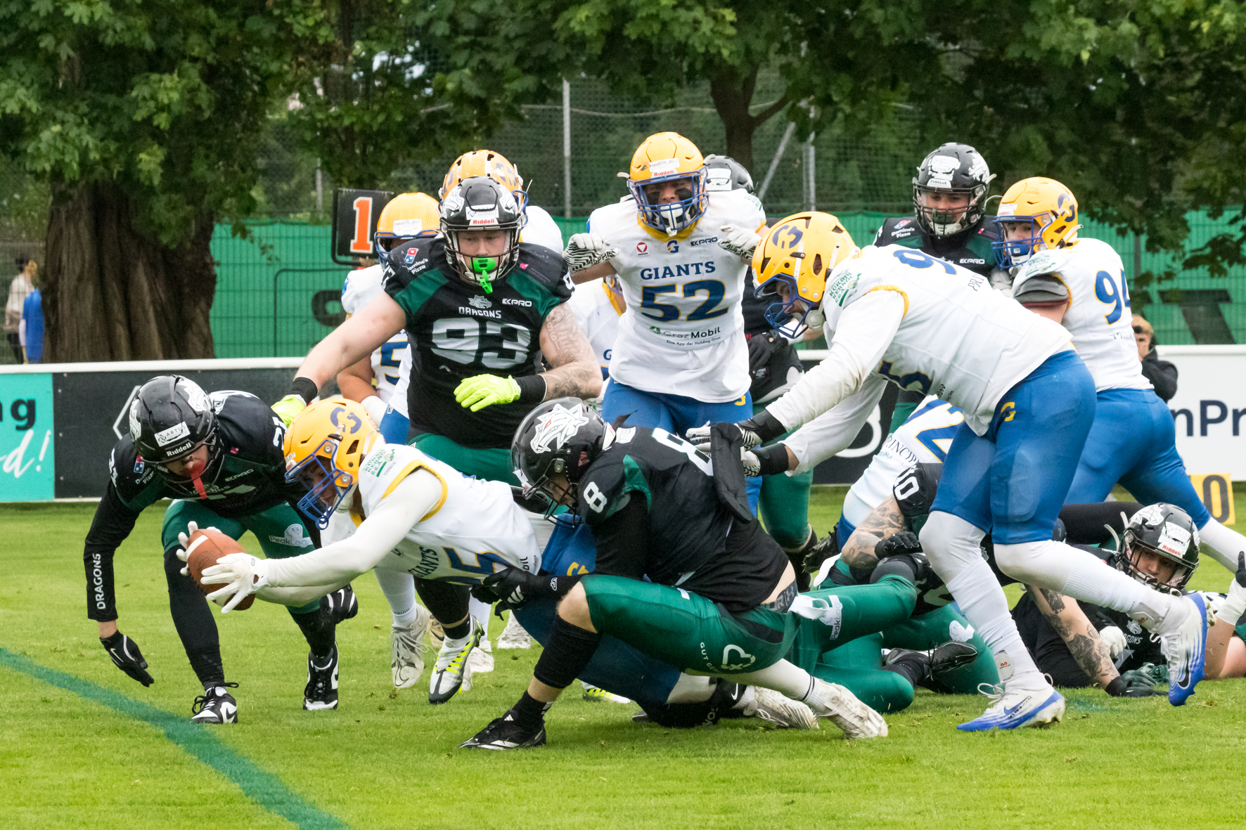 AFL Week 6: Dragons erstmals bezwungen, Kellerduell an Enthroners | AFBÖ
